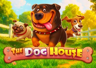 ufa911 The Dog House ทดลองเล่นฟรี